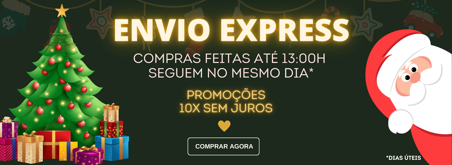 ENTREGA EXPRESSA